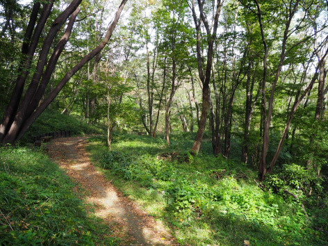 平山城址公園